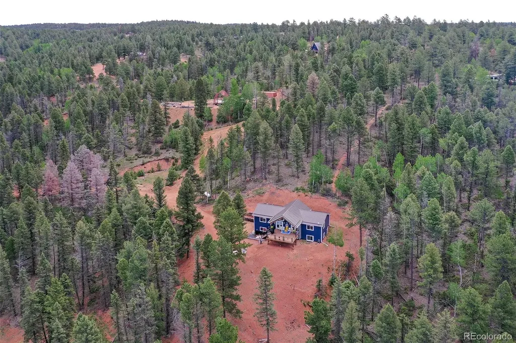 100 Wildcat Creek Drive Florissant CO 80816