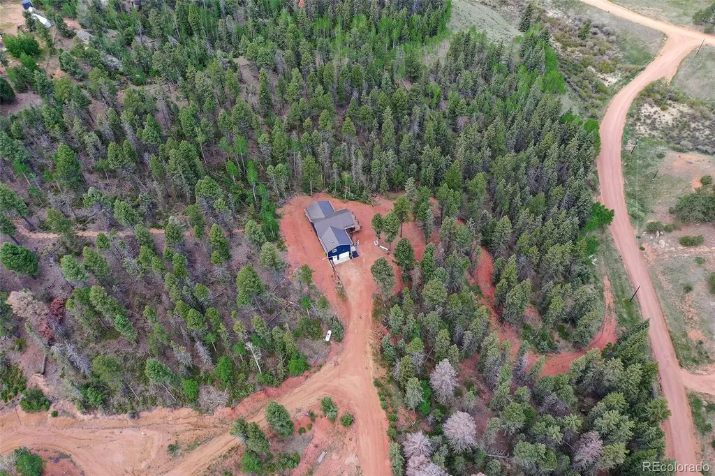 100 Wildcat Creek Drive Florissant CO 80816
