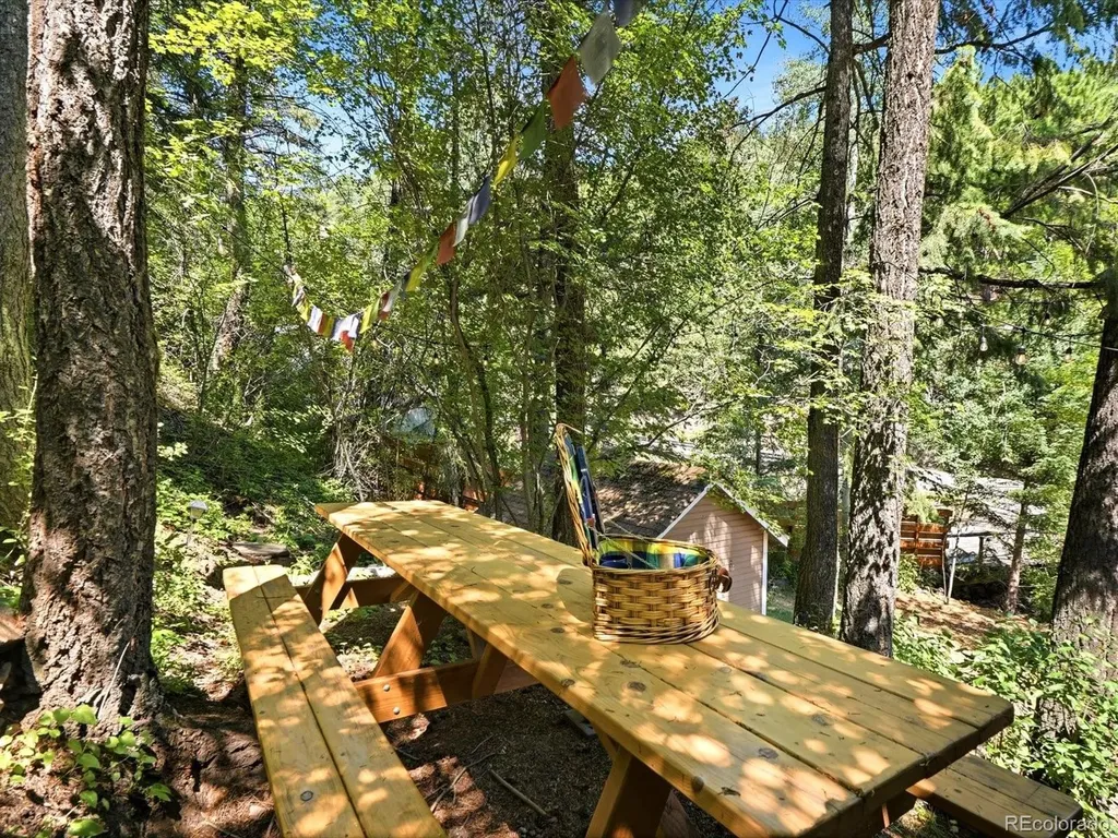 20304 N Turkey Creek Road Morrison CO 80465