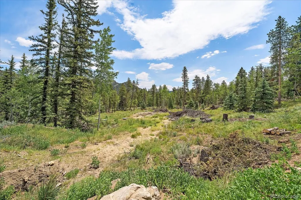 151 Golden Leaf Way Black Hawk CO 80422
