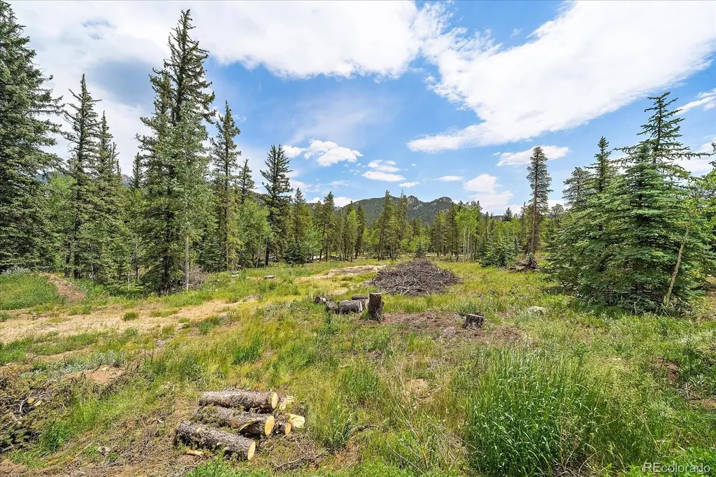 151 Golden Leaf Way Black Hawk CO 80422