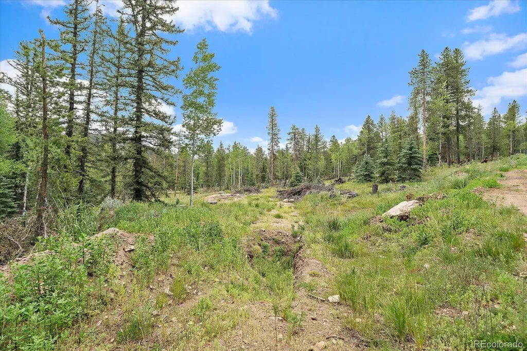 151 Golden Leaf Way Black Hawk CO 80422