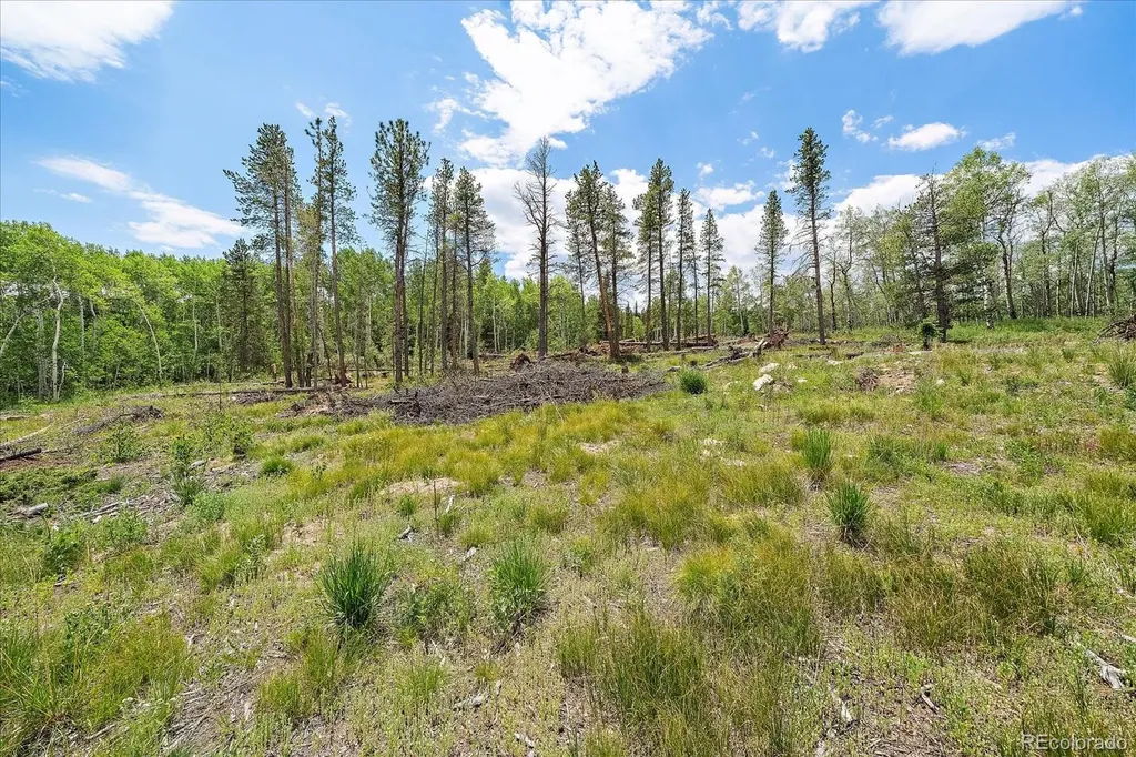 151 Golden Leaf Way Black Hawk CO 80422