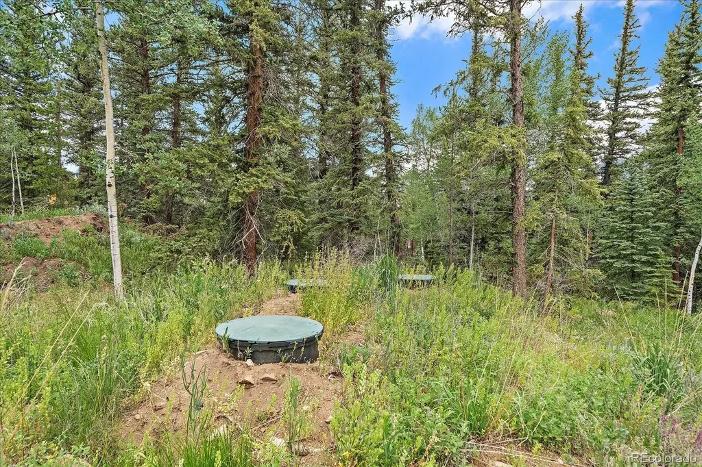 151 Golden Leaf Way Black Hawk CO 80422