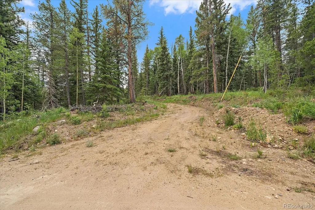151 Golden Leaf Way Black Hawk CO 80422
