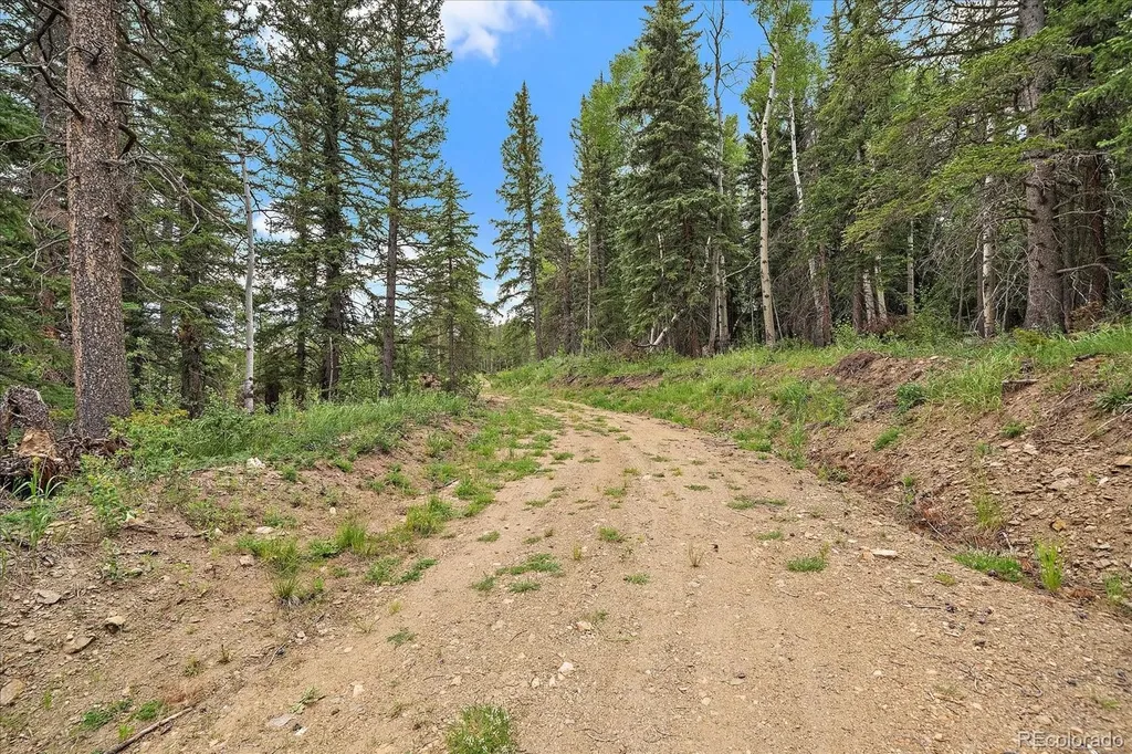 151 Golden Leaf Way Black Hawk CO 80422