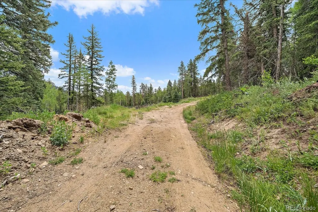 151 Golden Leaf Way Black Hawk CO 80422