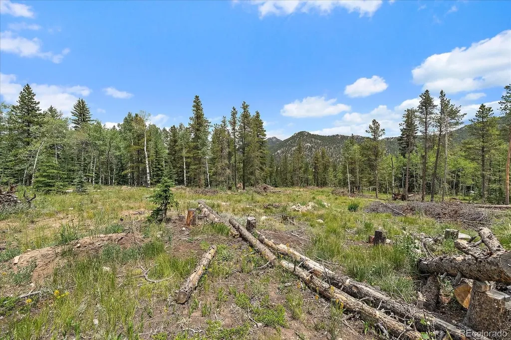 151 Golden Leaf Way Black Hawk CO 80422