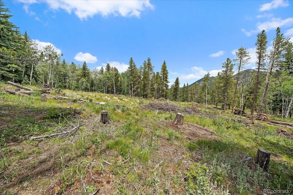 151 Golden Leaf Way Black Hawk CO 80422