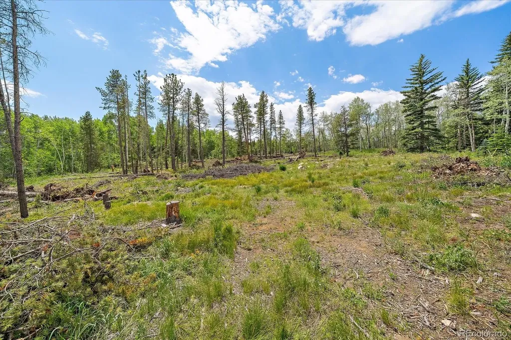 151 Golden Leaf Way Black Hawk CO 80422