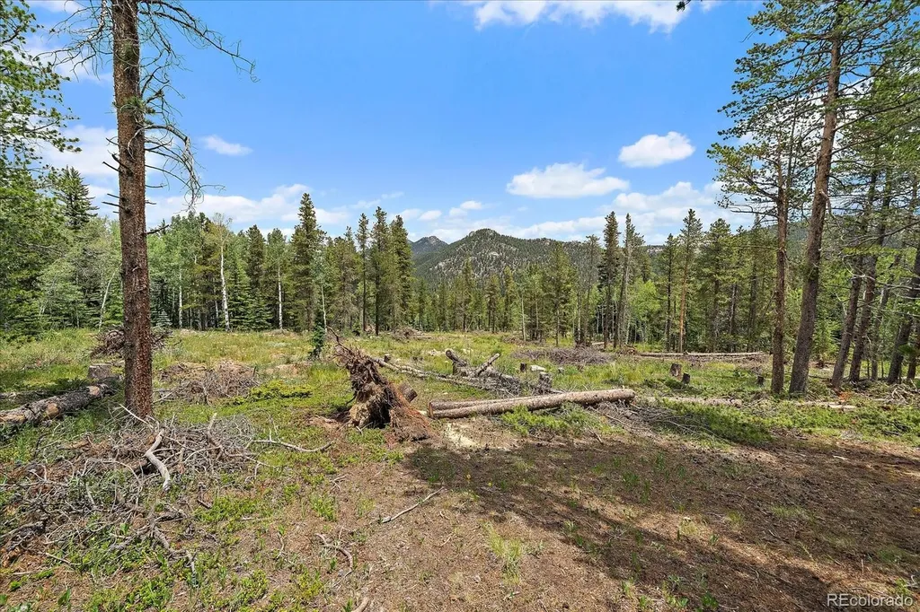 151 Golden Leaf Way Black Hawk CO 80422