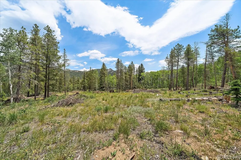 151 Golden Leaf Way Black Hawk CO 80422