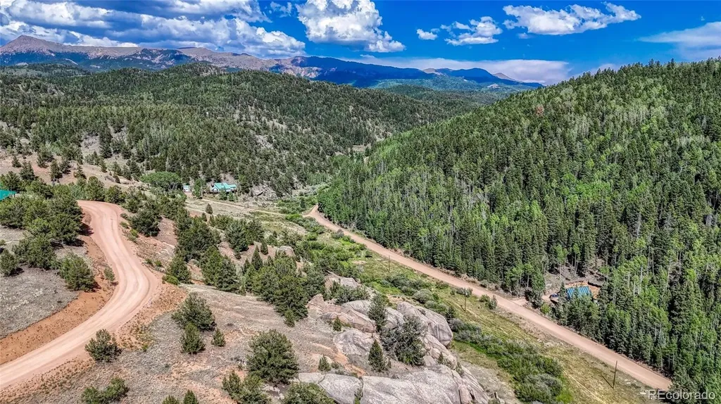 282 Fairview Drive Florissant CO 80816