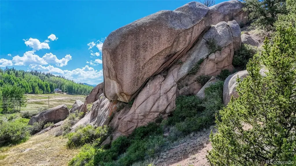 282 Fairview Drive Florissant CO 80816