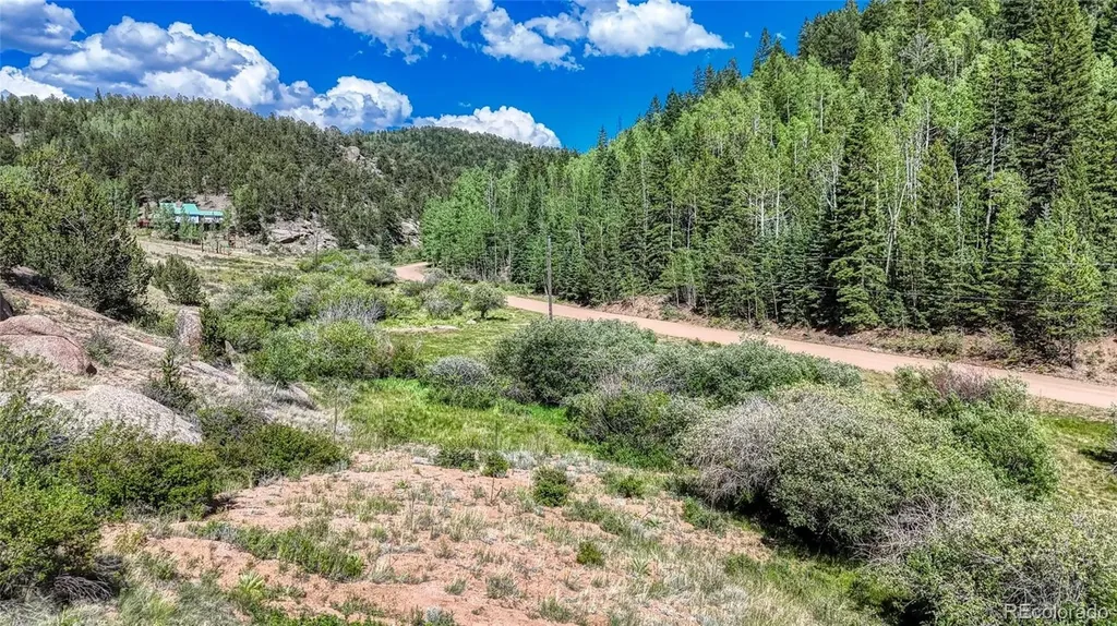 282 Fairview Drive Florissant CO 80816