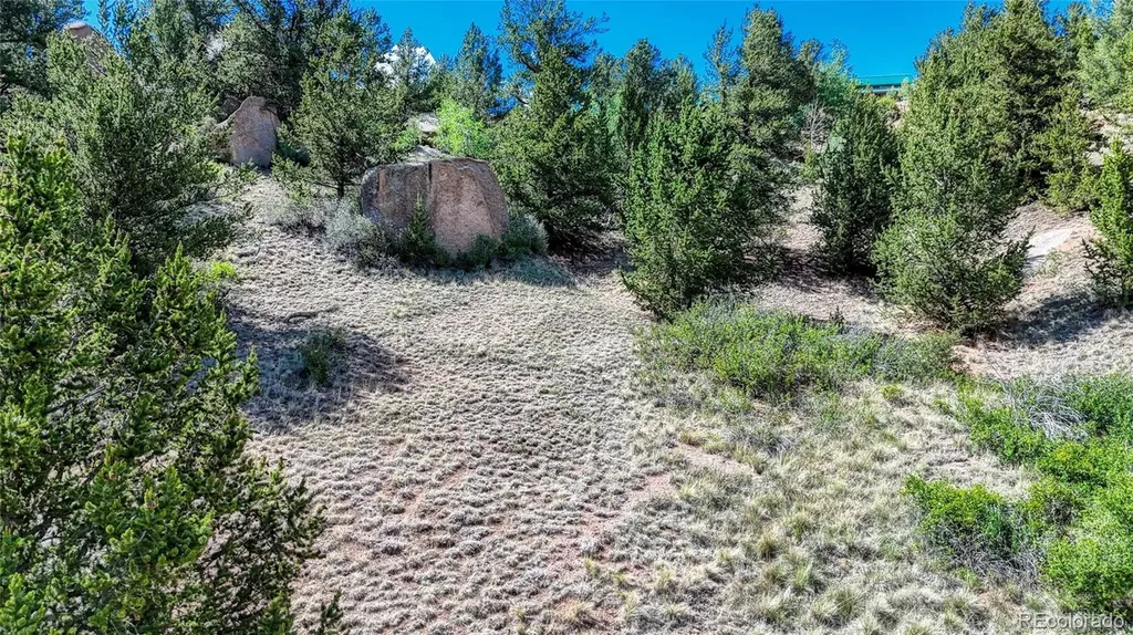 282 Fairview Drive Florissant CO 80816