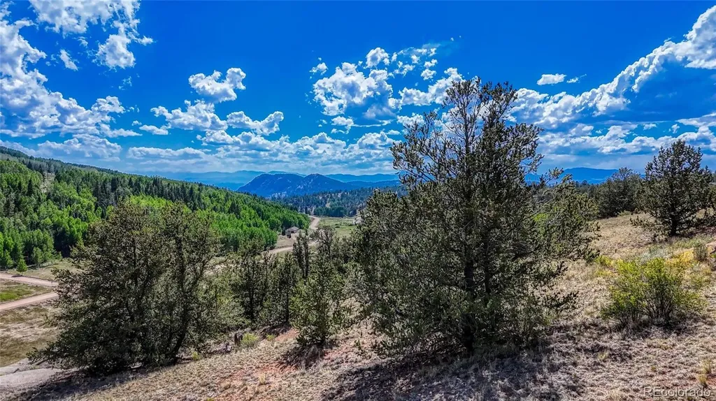282 Fairview Drive Florissant CO 80816