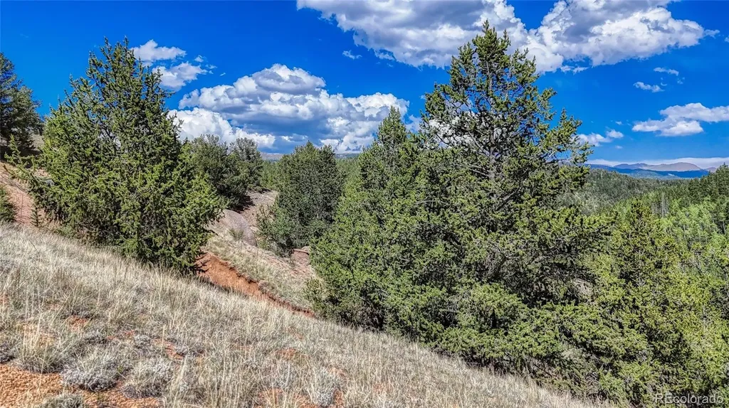 282 Fairview Drive Florissant CO 80816