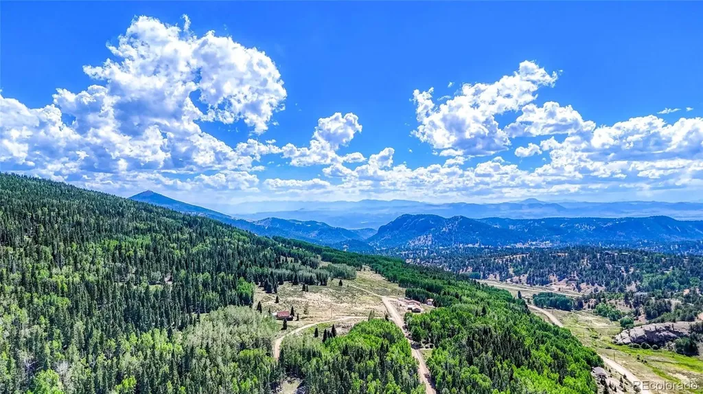 282 Fairview Drive Florissant CO 80816