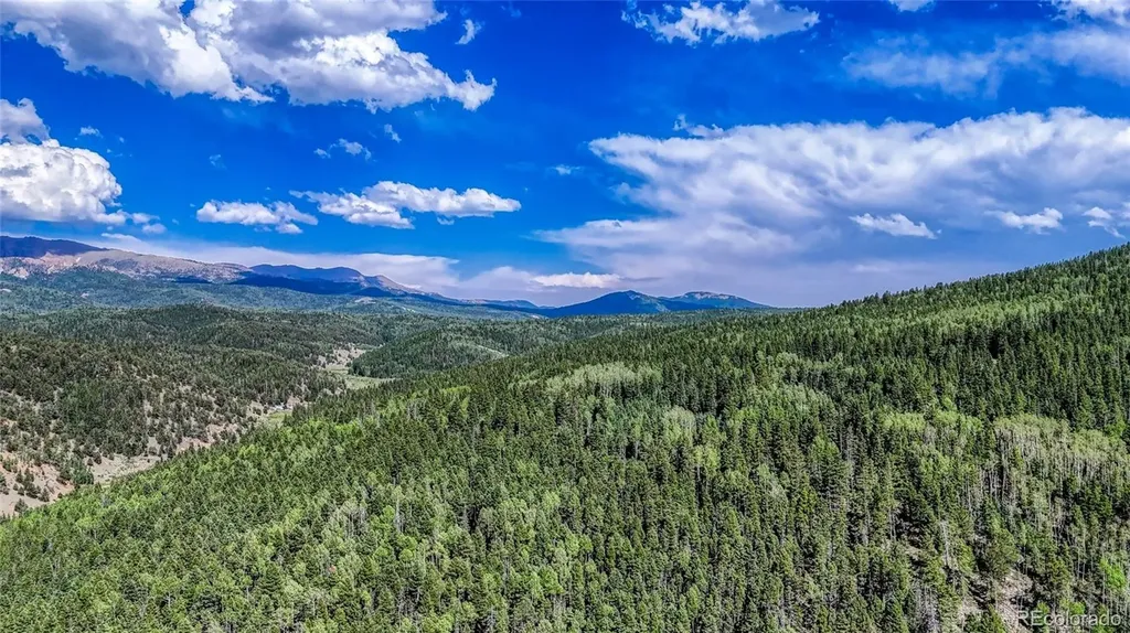 282 Fairview Drive Florissant CO 80816