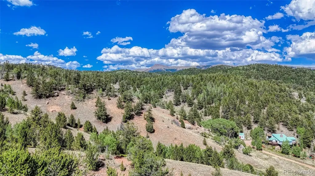282 Fairview Drive Florissant CO 80816
