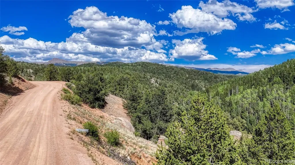 282 Fairview Drive Florissant CO 80816
