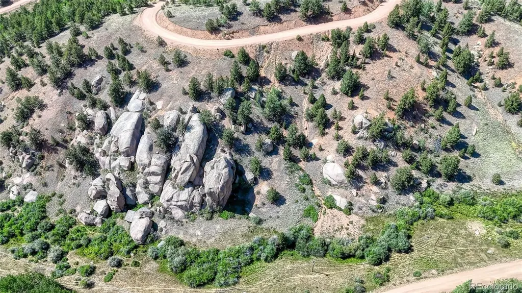 282 Fairview Drive Florissant CO 80816