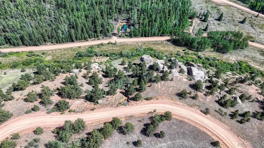 282 Fairview Drive Florissant CO 80816