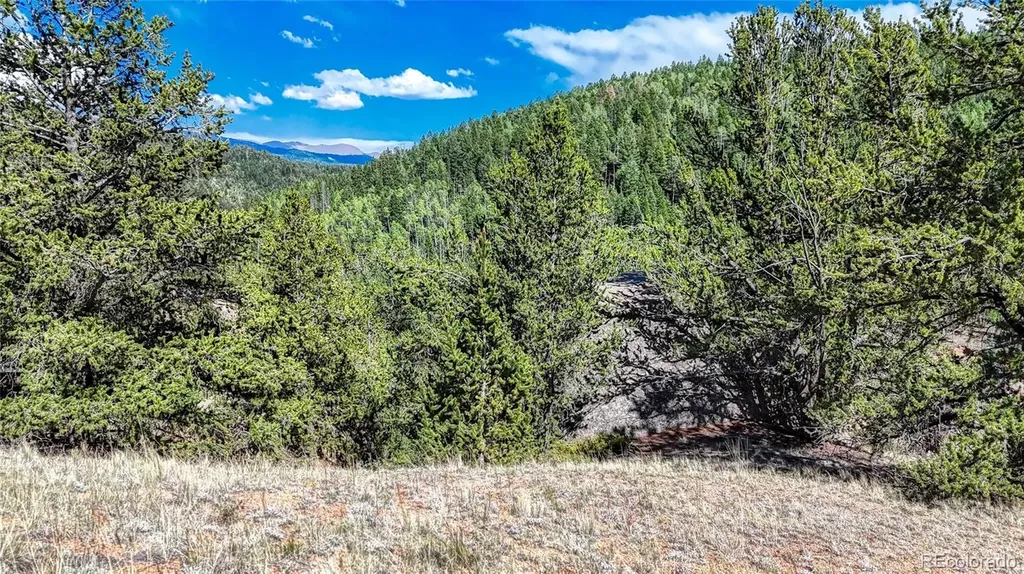 282 Fairview Drive Florissant CO 80816