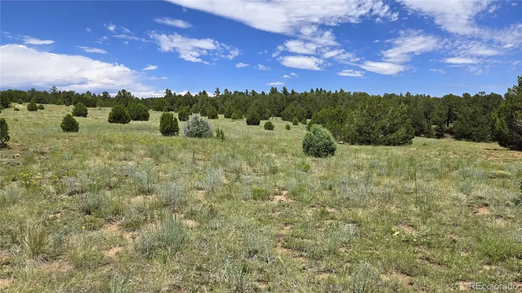 20 Colorado Mountain Lake Estates Trinidad CO 81082