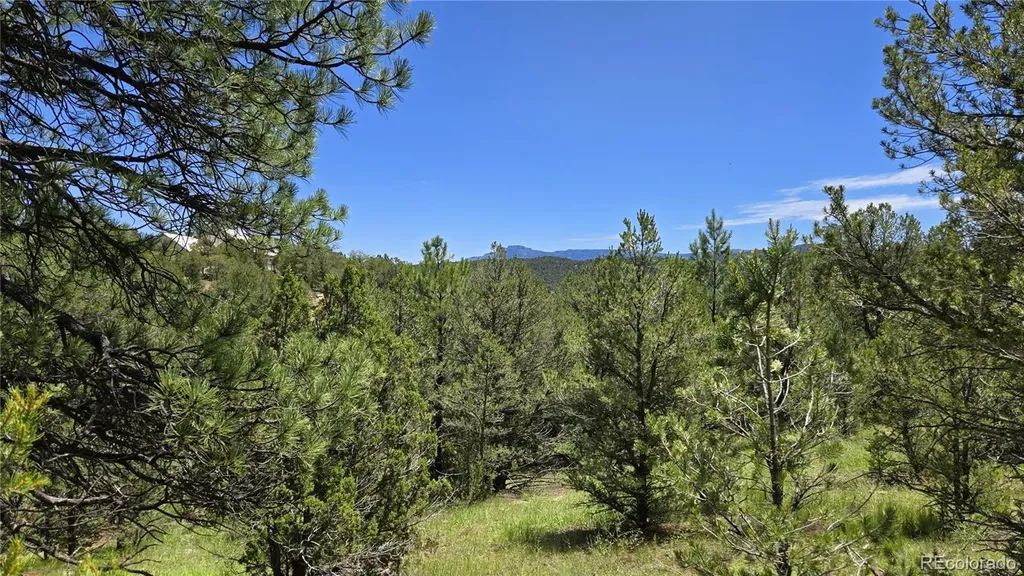 20 Colorado Mountain Lake Estates Trinidad CO 81082