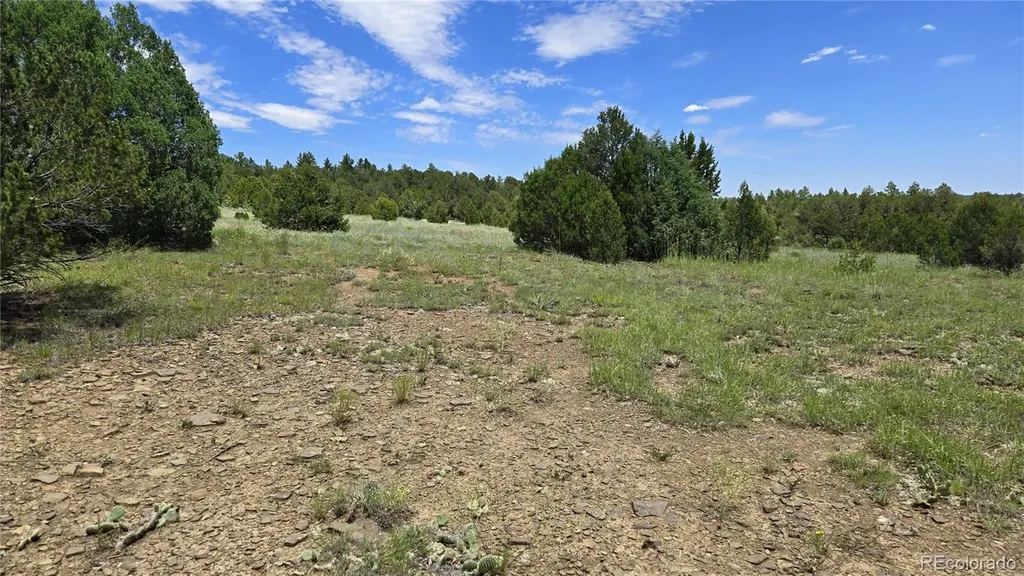 20 Colorado Mountain Lake Estates Trinidad CO 81082