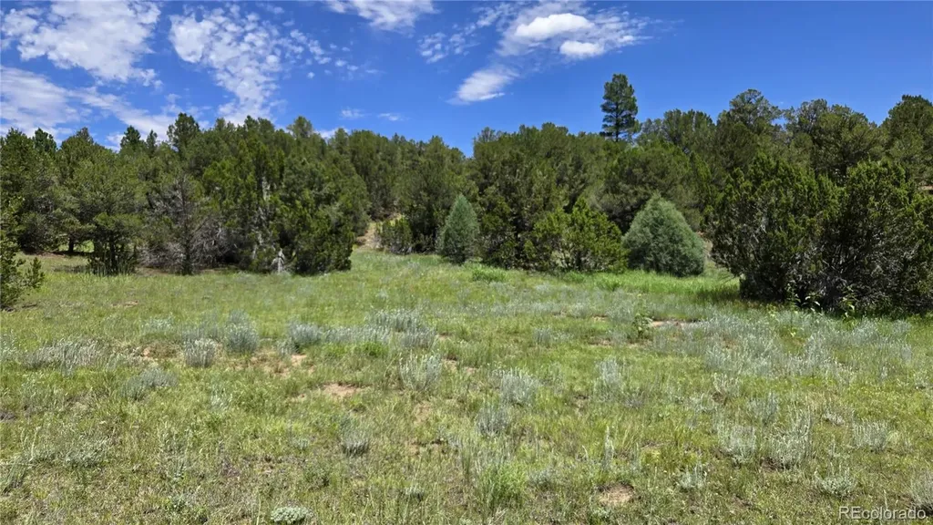 20 Colorado Mountain Lake Estates Trinidad CO 81082