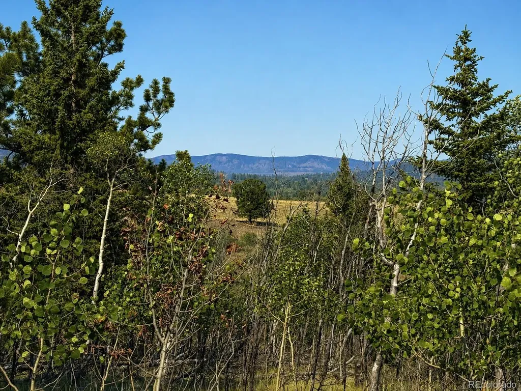 250 Pinto Trail Como CO 80432