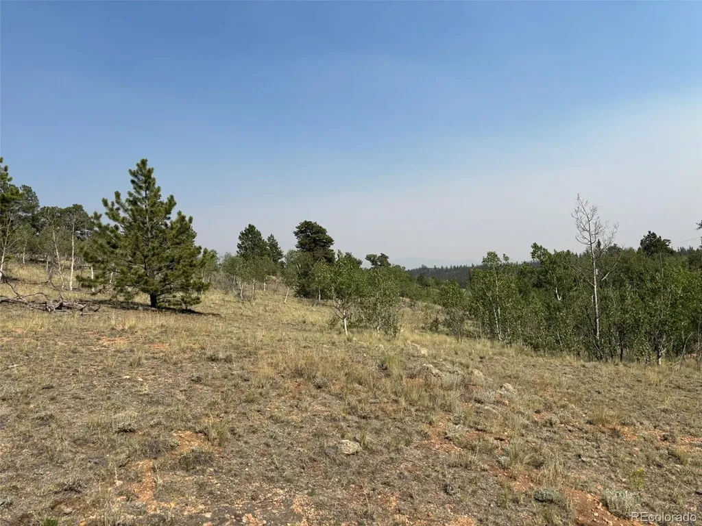 250 Pinto Trail Como CO 80432