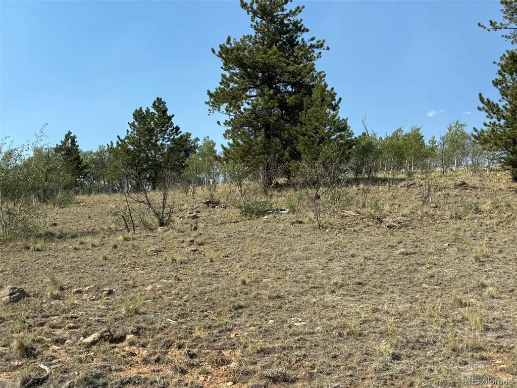 250 Pinto Trail Como CO 80432