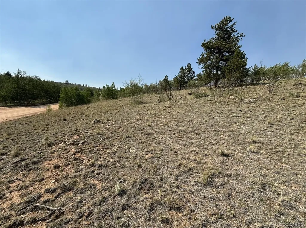 250 Pinto Trail Como CO 80432