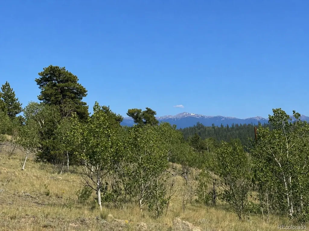 250 Pinto Trail Como CO 80432