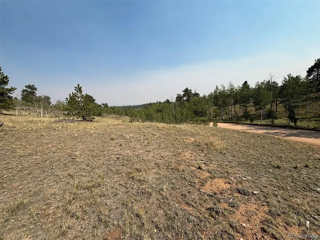 250 Pinto Trail Como CO 80432