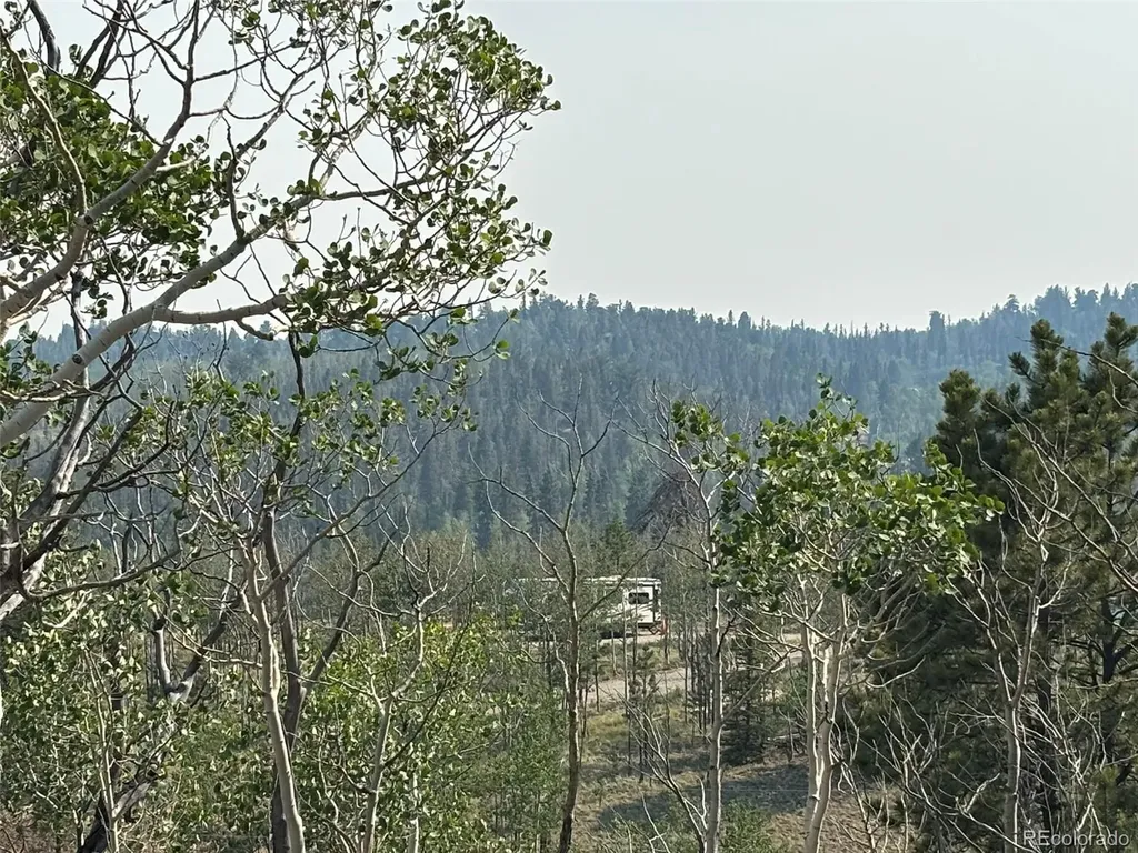 250 Pinto Trail Como CO 80432