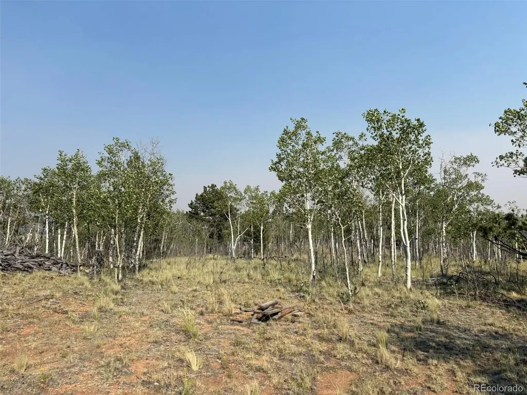 250 Pinto Trail Como CO 80432