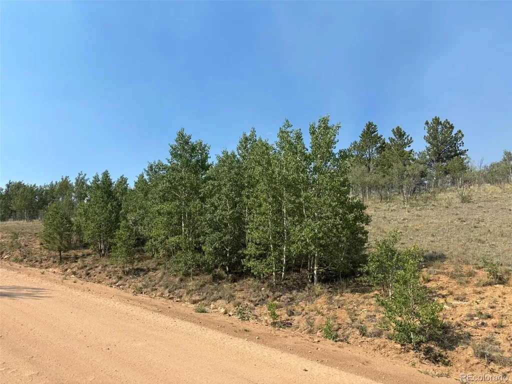 250 Pinto Trail Como CO 80432
