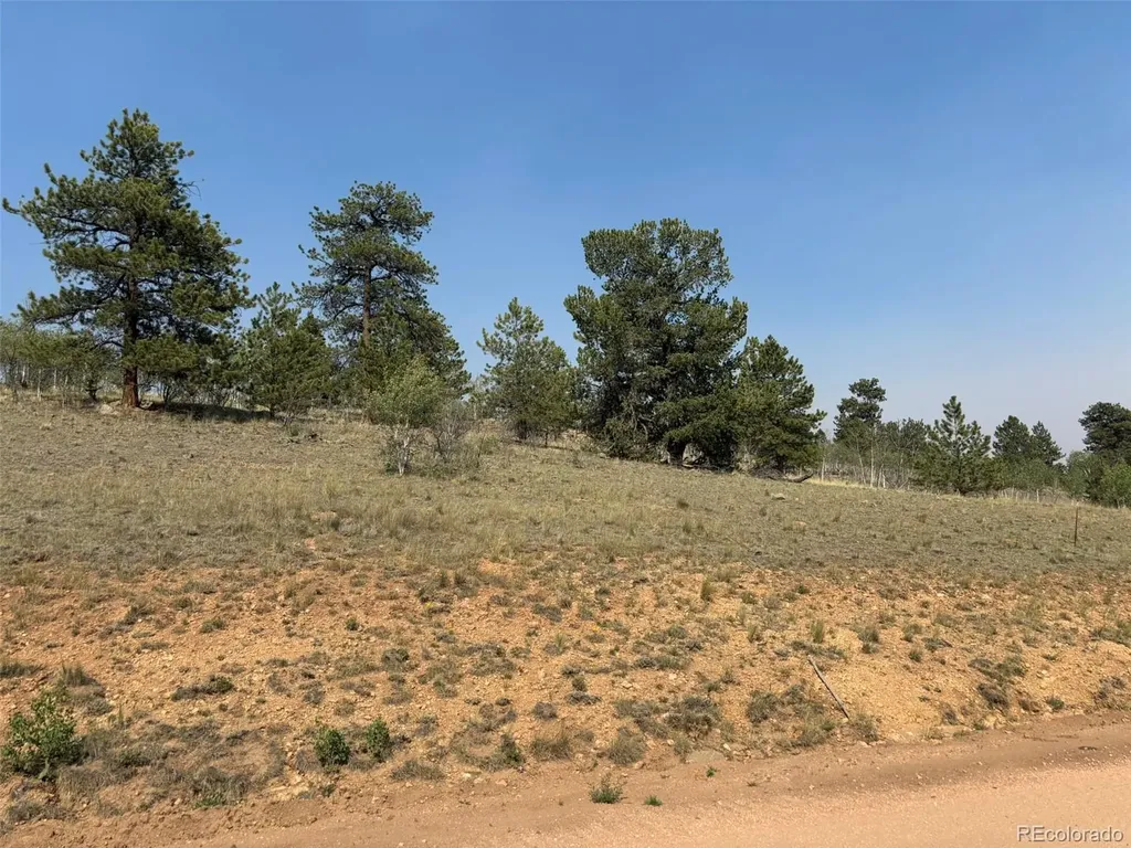 250 Pinto Trail Como CO 80432
