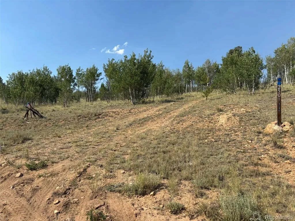 250 Pinto Trail Como CO 80432
