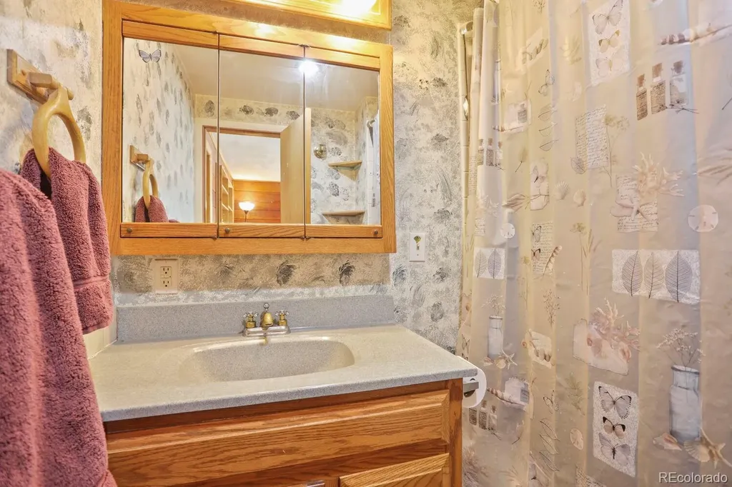 1006 County Road 72 Bailey CO 80421