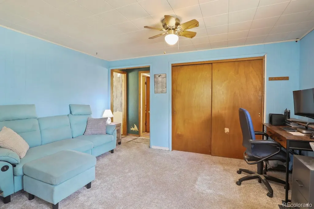 1006 County Road 72 Bailey CO 80421
