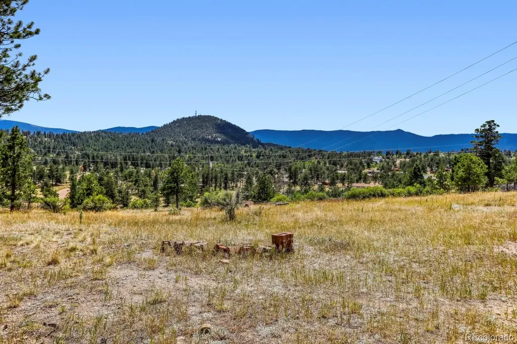 1006 County Road 72 Bailey CO 80421