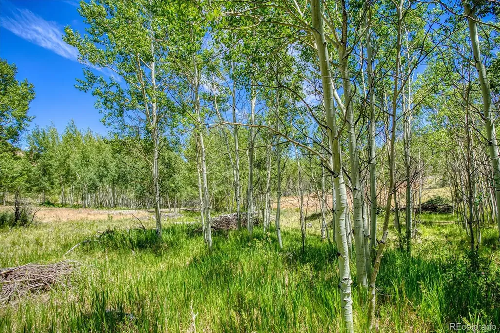 302 Rickel Circle South Fork CO 81154