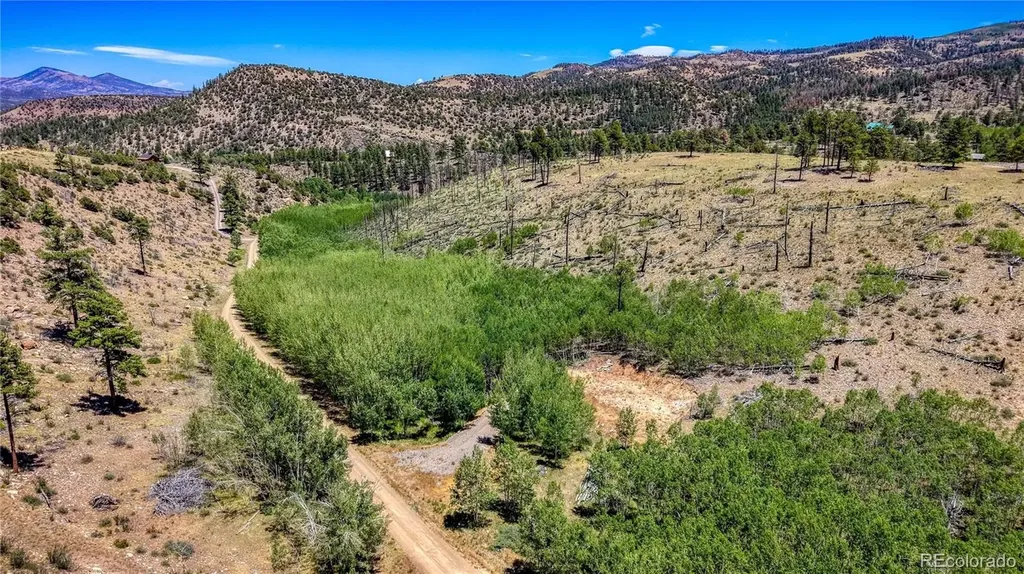 302 Rickel Circle South Fork CO 81154