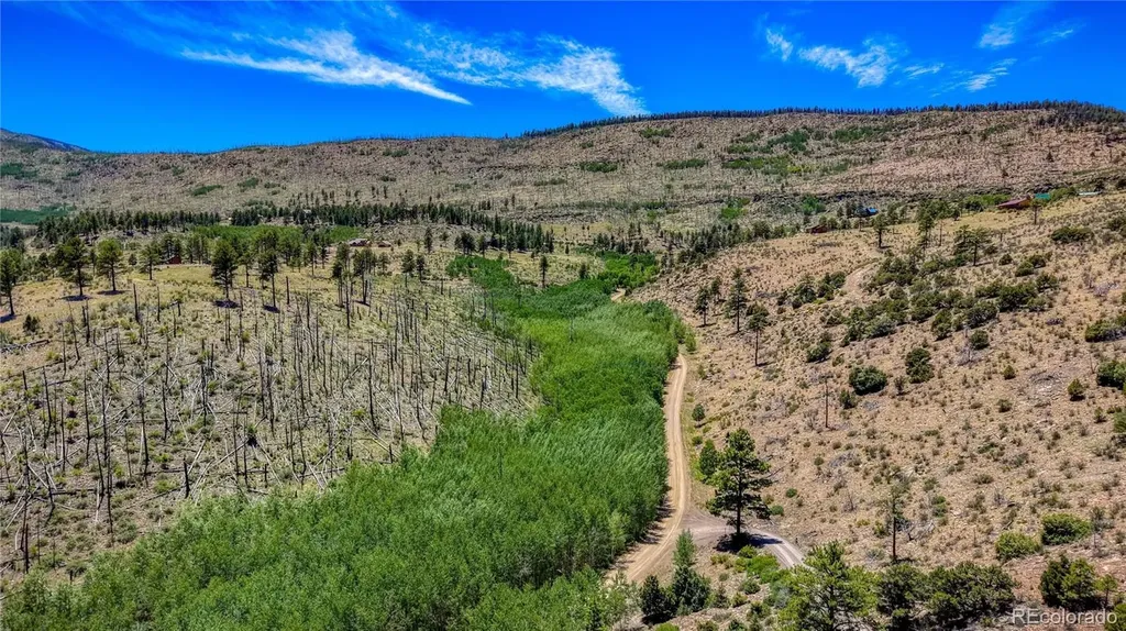 302 Rickel Circle South Fork CO 81154